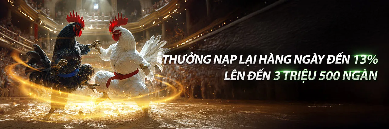 Đá Gà Thomo DH88 - Trải nghiệm đá gà trực tuyến và cá cược hấp dẫn