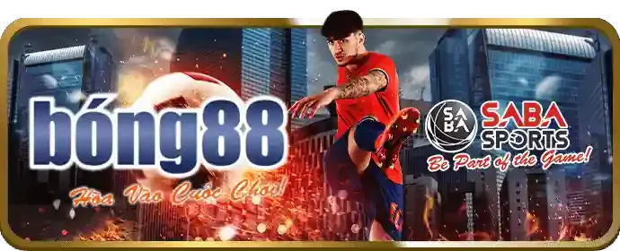DH88 tôn trọng quyền riêng tư của người chơi